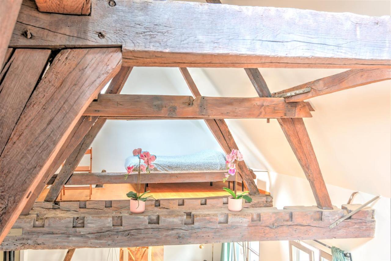 Tempel Triplex & Duplex At Historic Heart Of Antwerp Apartment Ngoại thất bức ảnh